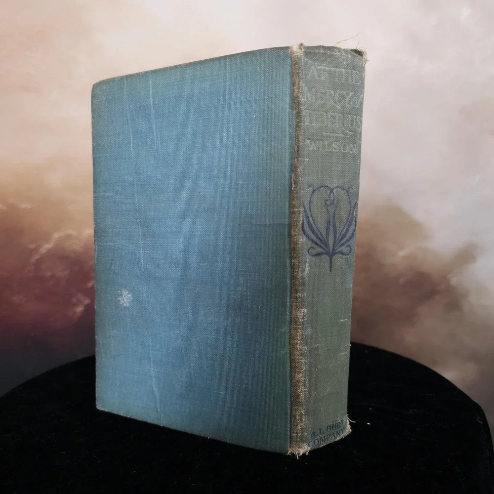 At the Mercy of Tiberius Hard Cover Book 1887 Antiquarian Antique Novel Augusta
